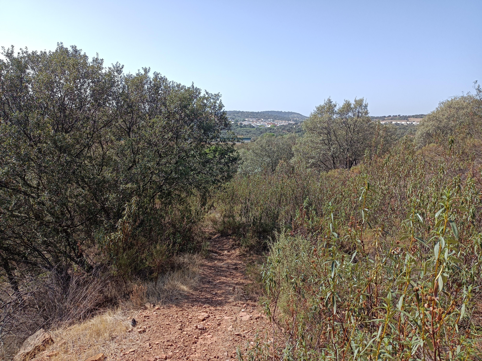 Fotos de la ruta de Los Brezales-Umbría de Santa Fe en el Ronquillo