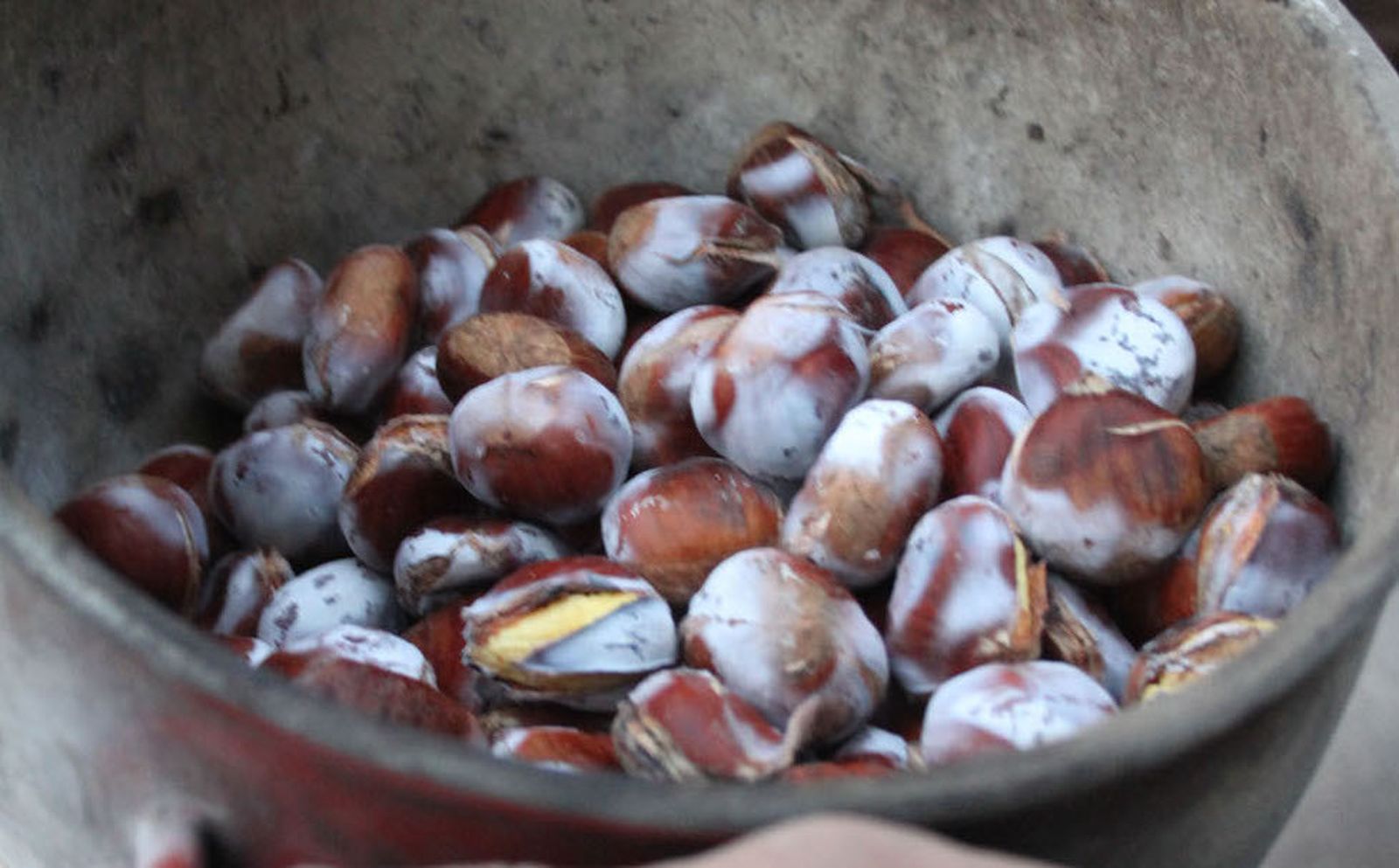 Castañas asañas | Josué Correa