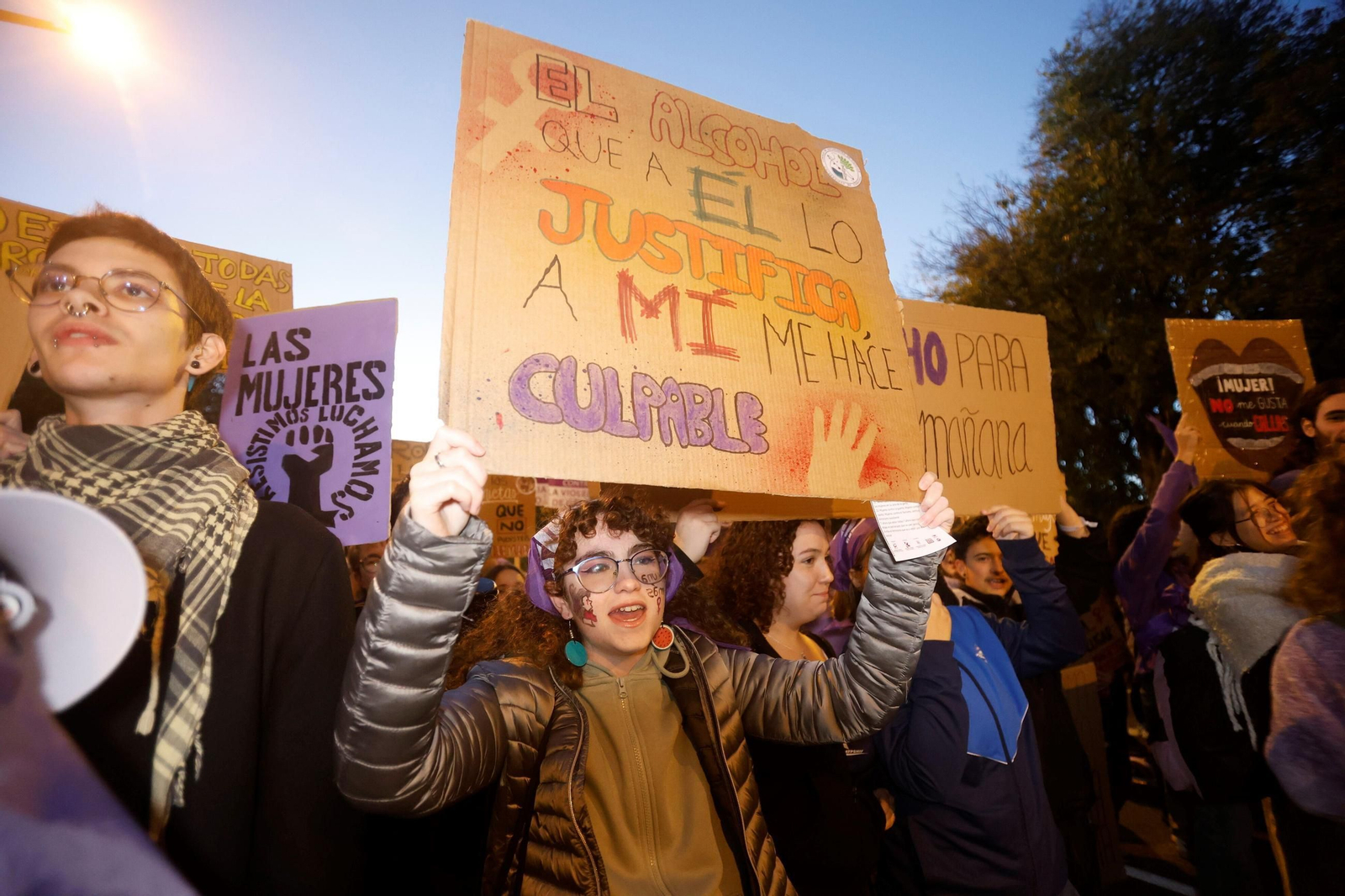 La manifestación del 25N en Córdoba