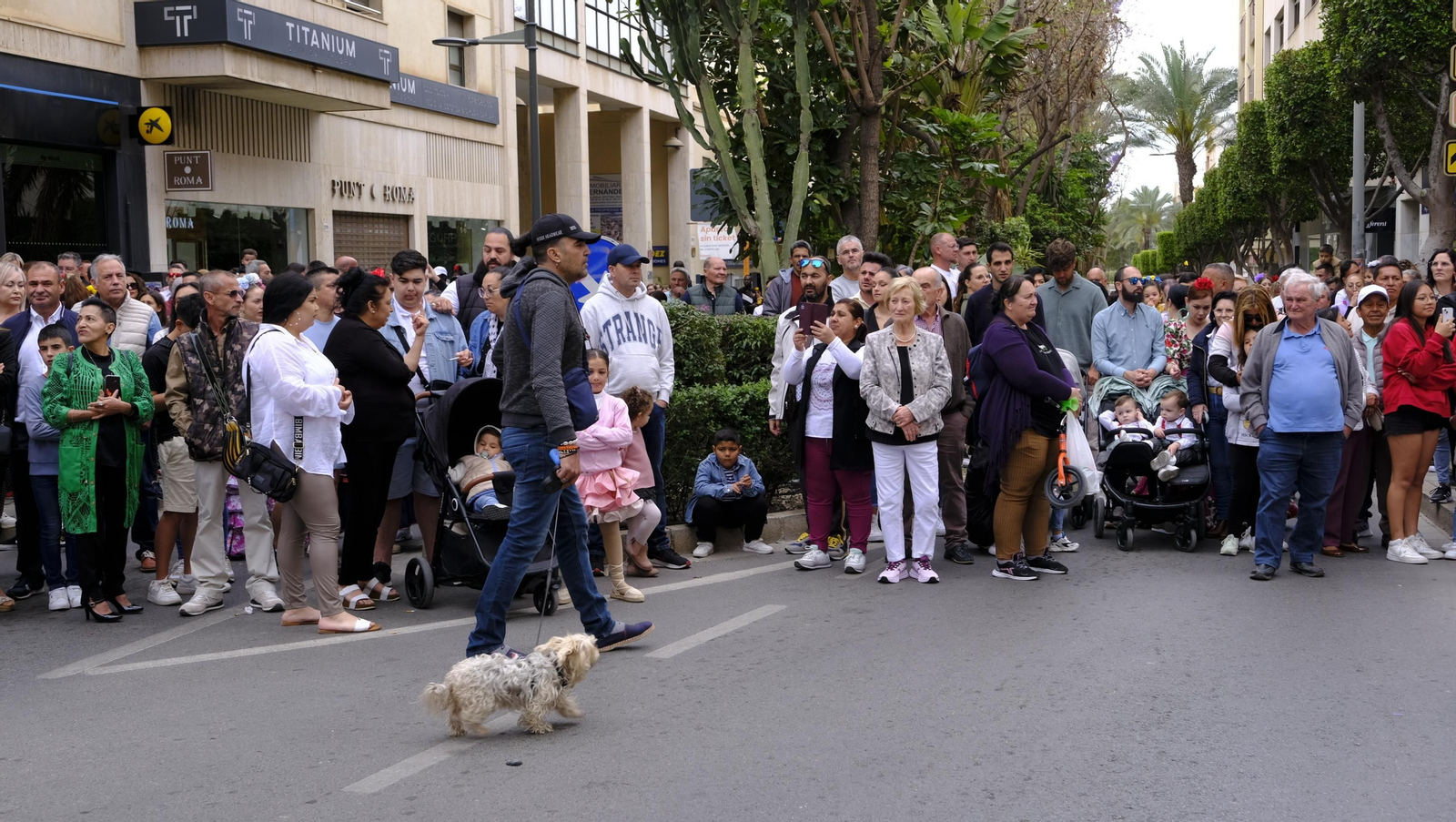 Las mejores imágenes de la procesión de San Marcos en Ejido