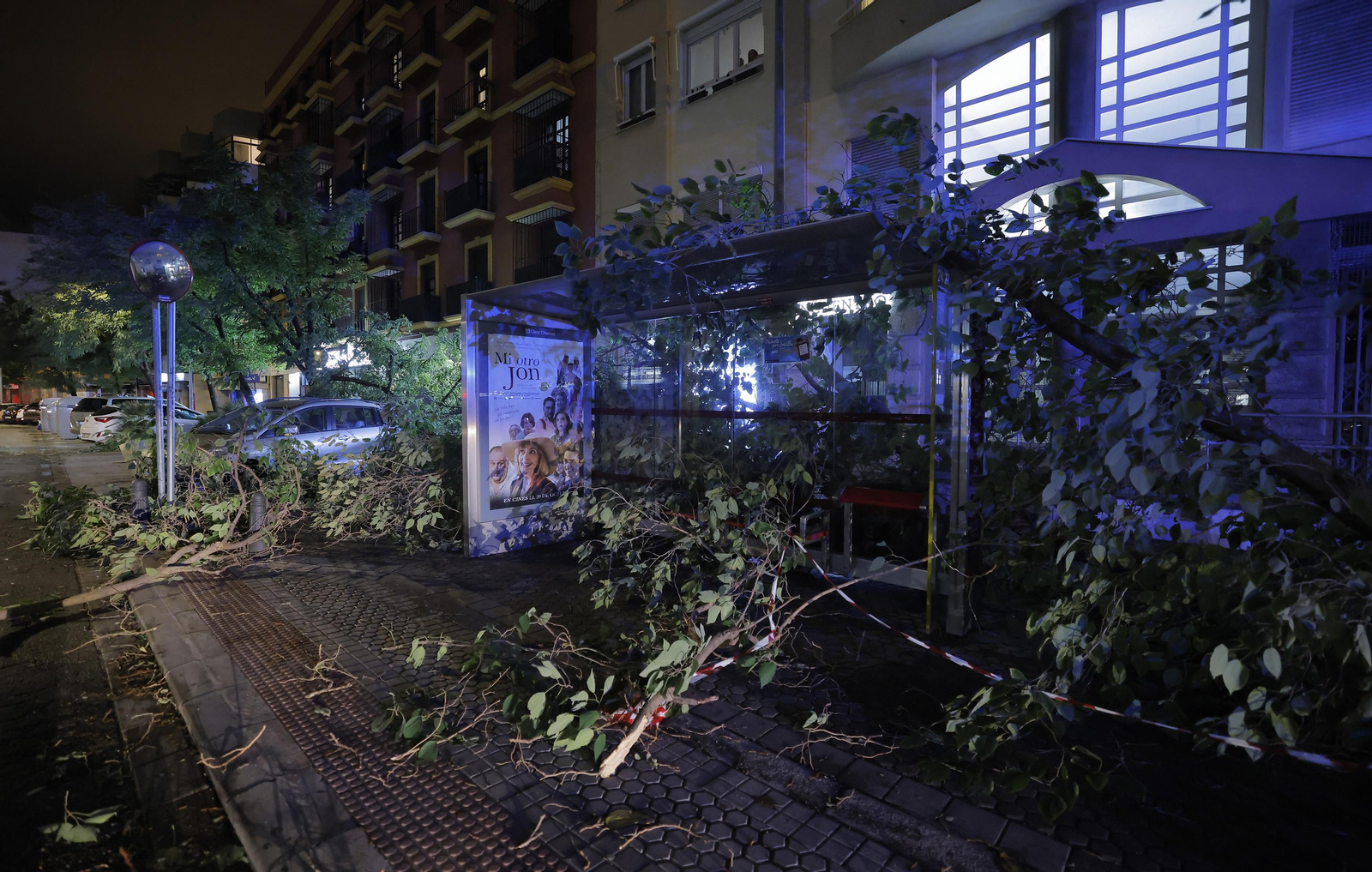 Los efectos de la borrasca 'Bernard' en Sevilla, todas las fotos