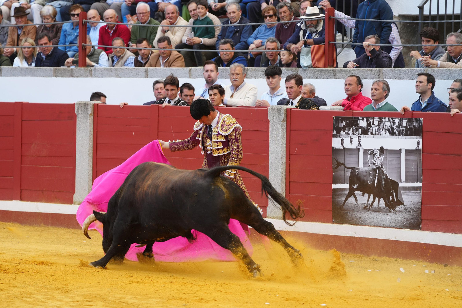 Las mejores imágenes de Manuel Morán, El Fandi y Daniel Luque en Pozoblanco