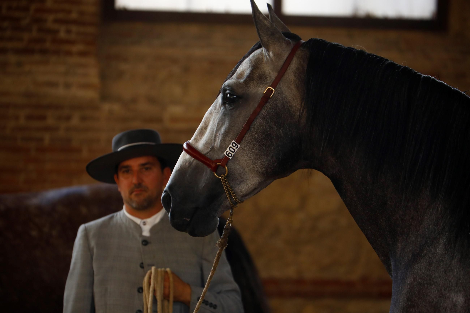Cabalcor Cabalcor