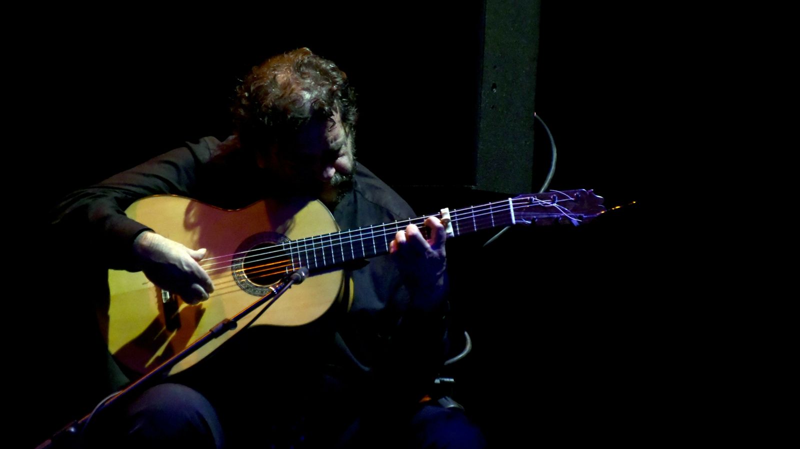 Las fotos de XXVII edición de La Palma de Plata