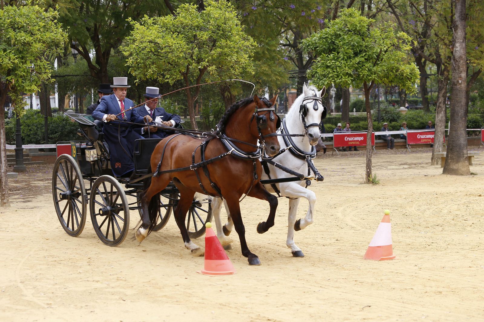 El concurso de enganches, en imágenes