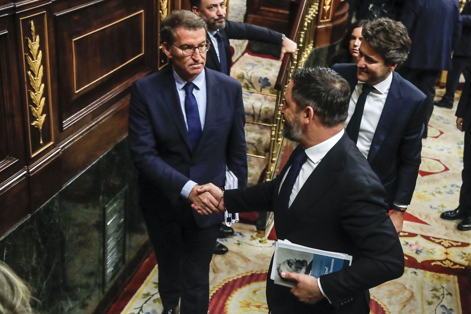 Alberto Núñez Feijóo y Santiago Abascal se saludan en el congreso en una imagen de archivo.