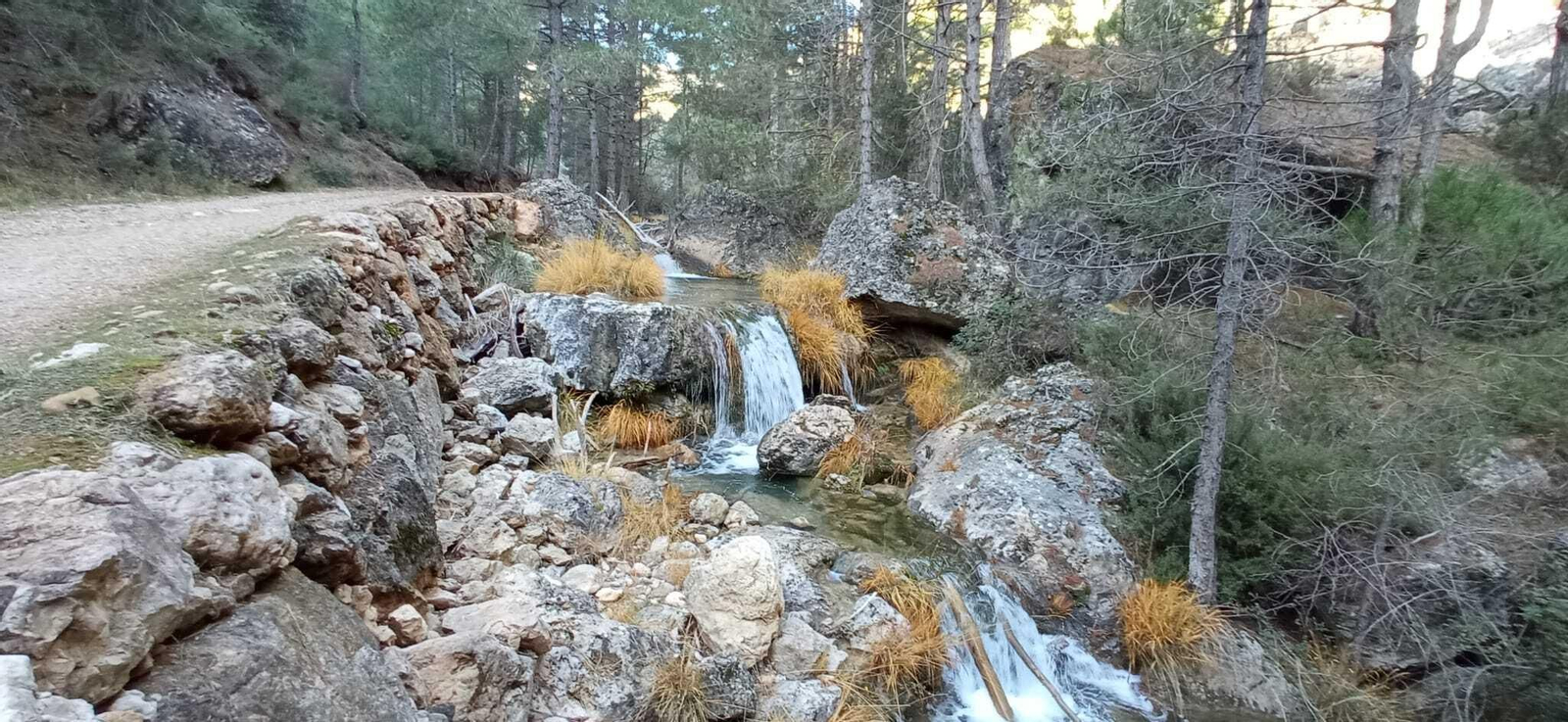 Cascadas de Guazalamanco
