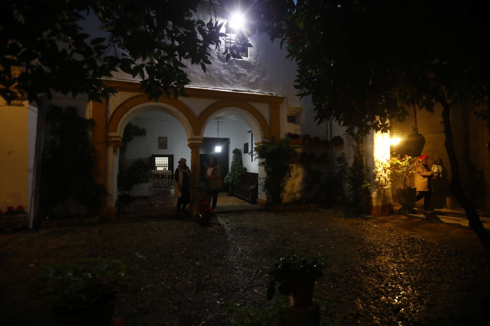 Los Patios de Córdoba abren por Navidad, en imágenes