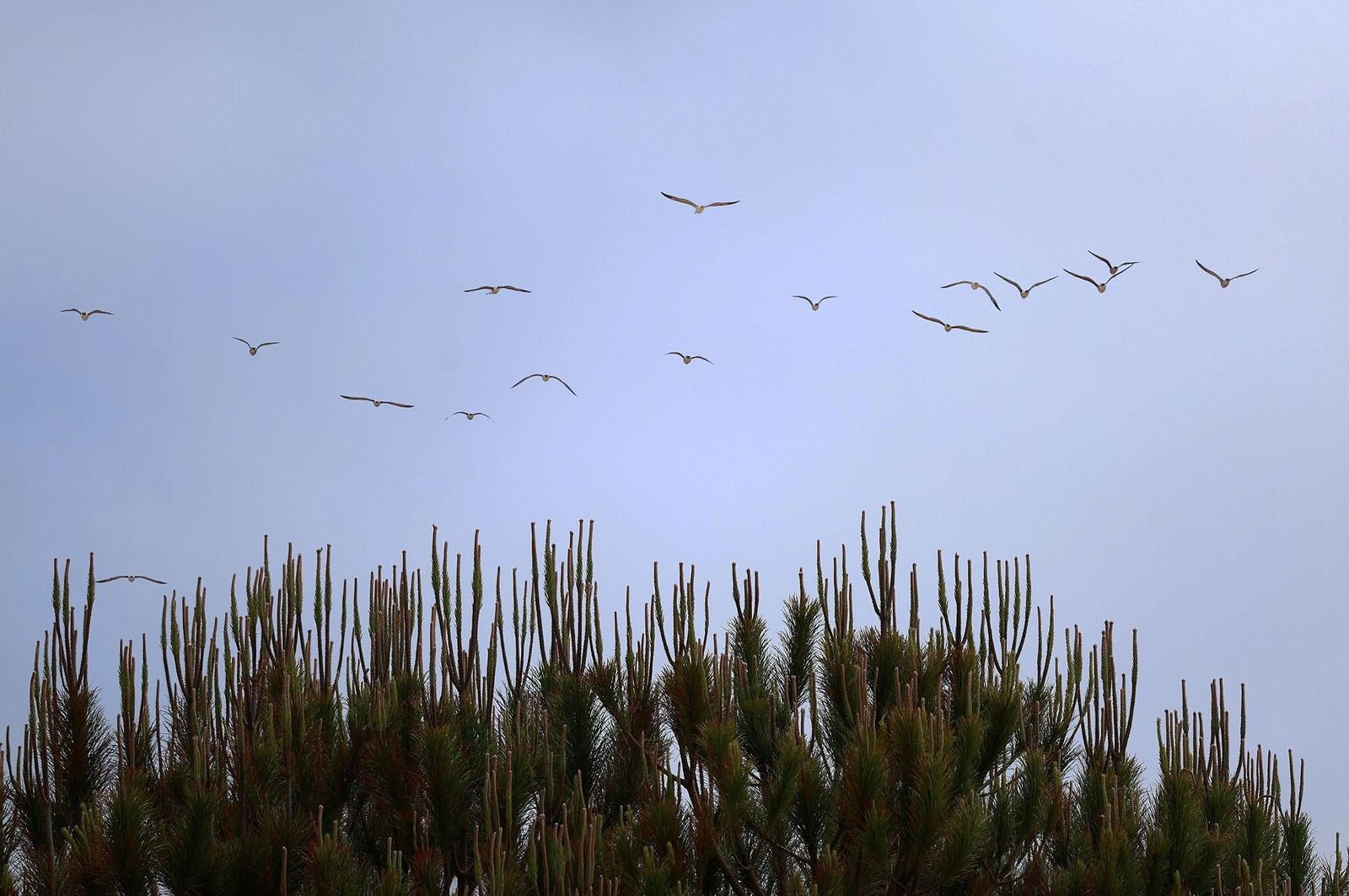 Imágenes del domingo 5 de mayo en Huelva