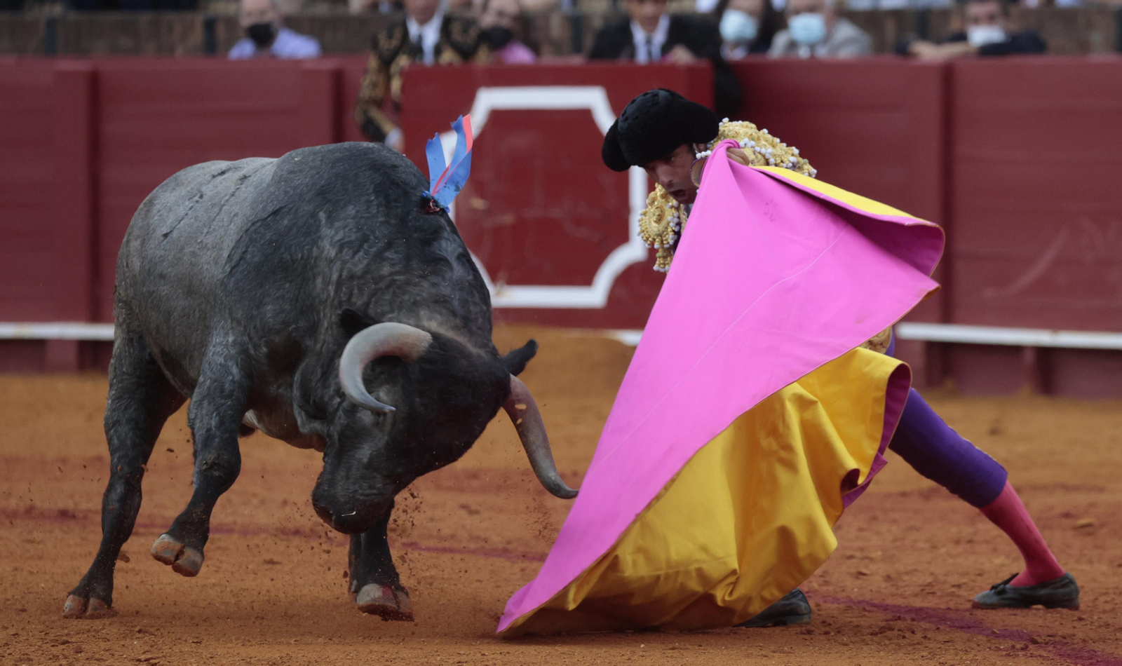 Las imágenes de la quinta corrida de San Miguel