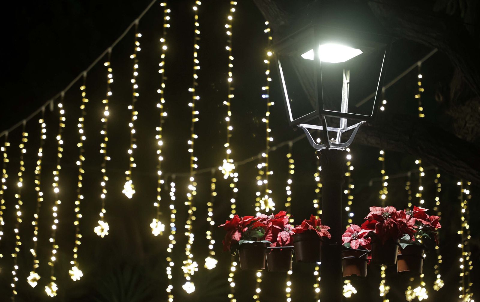 El alumbrado navideño de San Roque, en imágenes