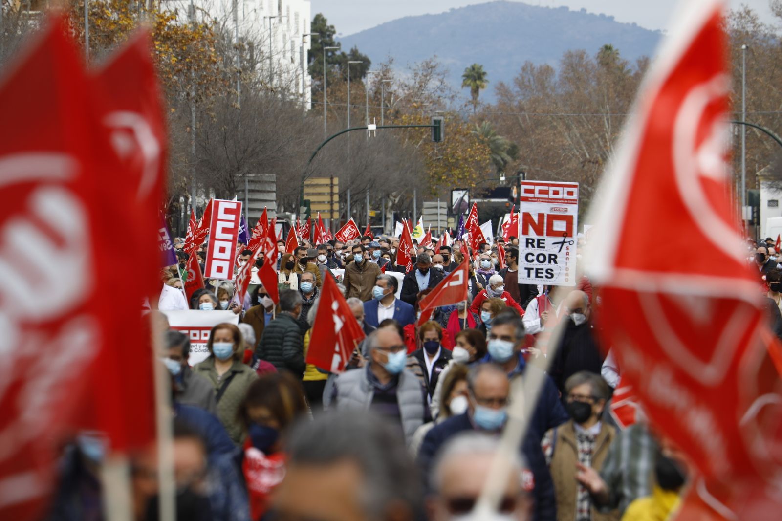 Manifestación en defensa de la sanidad pública en Córdoba, en imágenes
