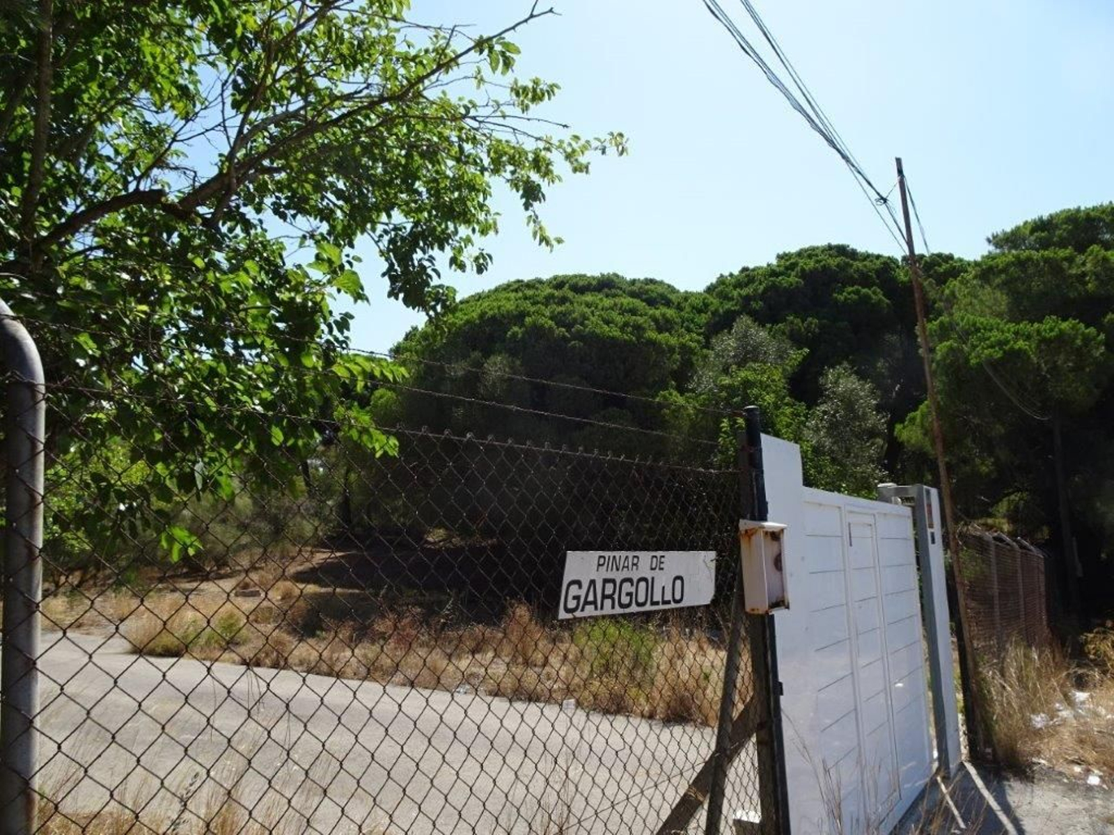 Imagen de la entrada al pinar El Gargollo.
