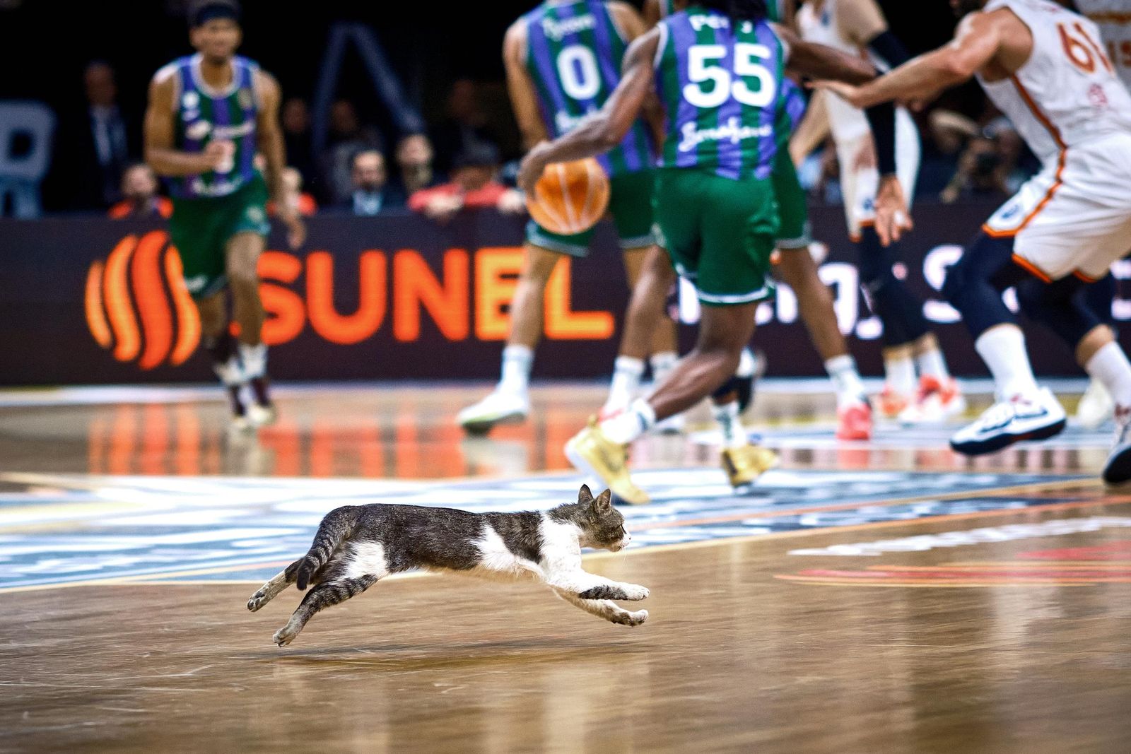 El Galatasaray-Unicaja, en fotos