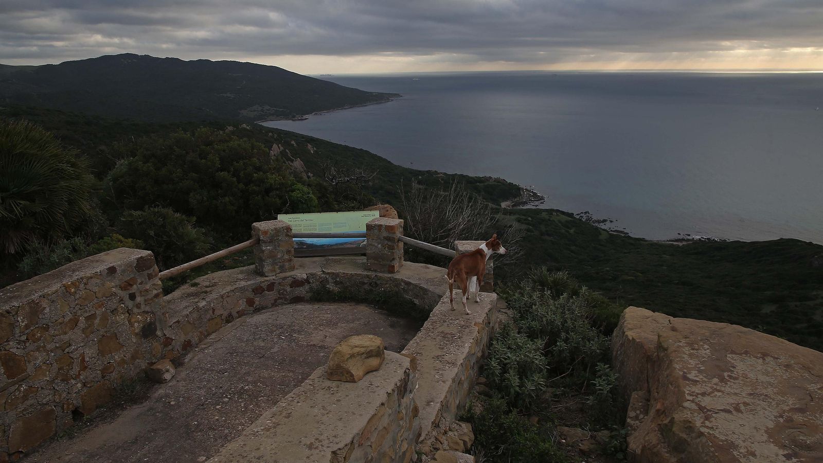 Este mirador es un lugar privilegiado para el avistamiento de aves migratorias.
