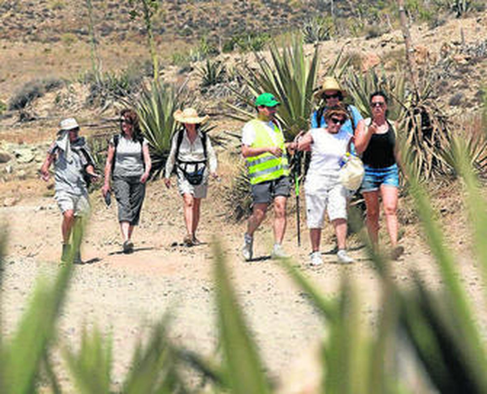Momento de la marcha organizada ayer en el parque natural.