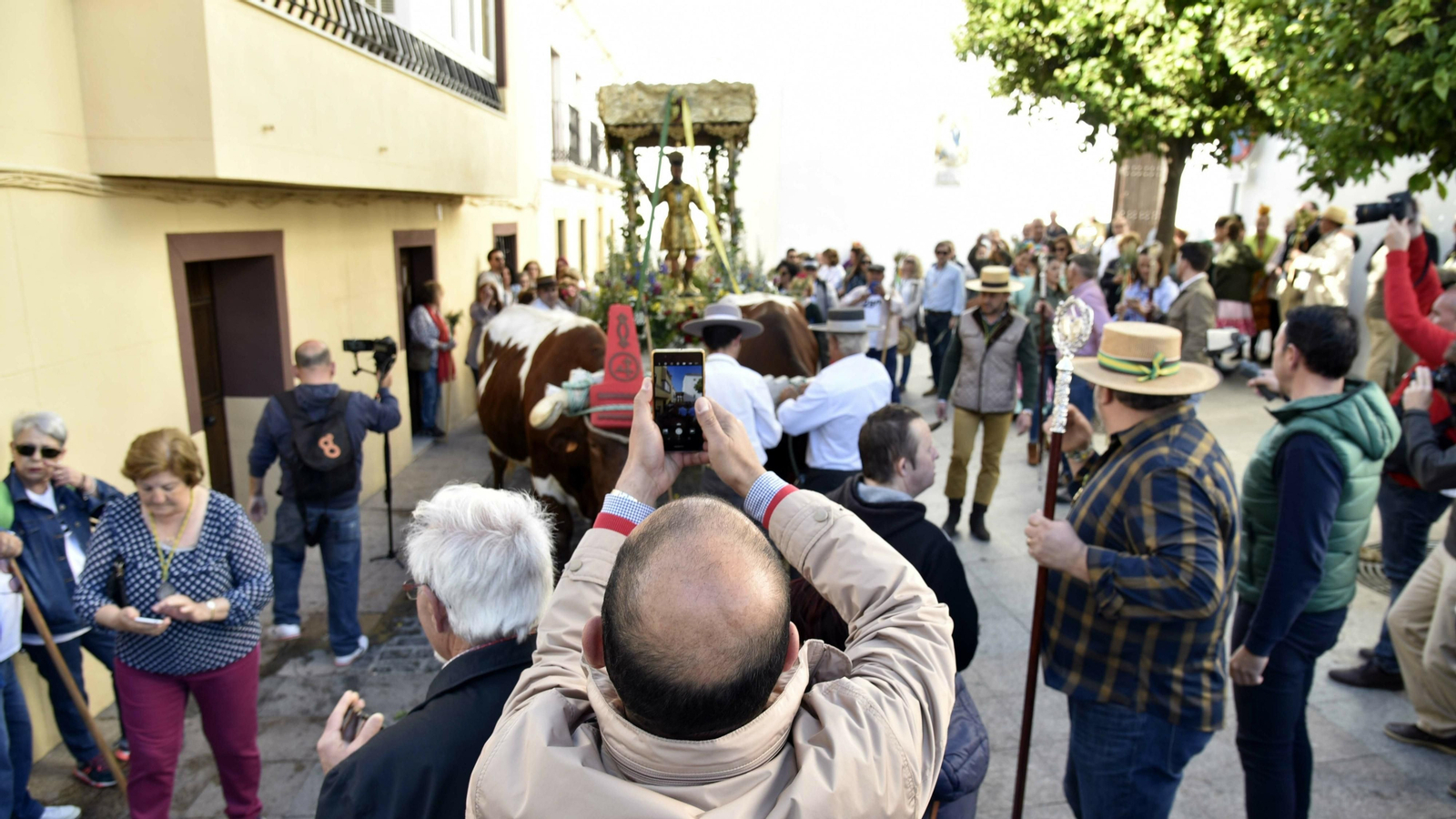 Salida de la Romería de Los Barrios en imágenes