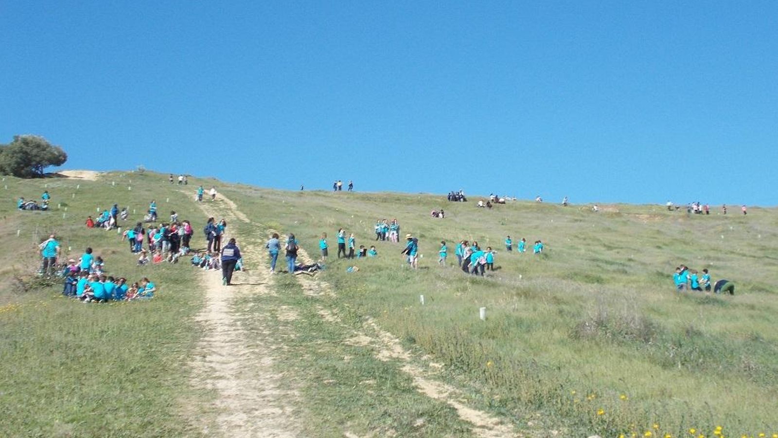 Otra perspectiva del cerro, en el que apenas han empezado a brotar los árboles.