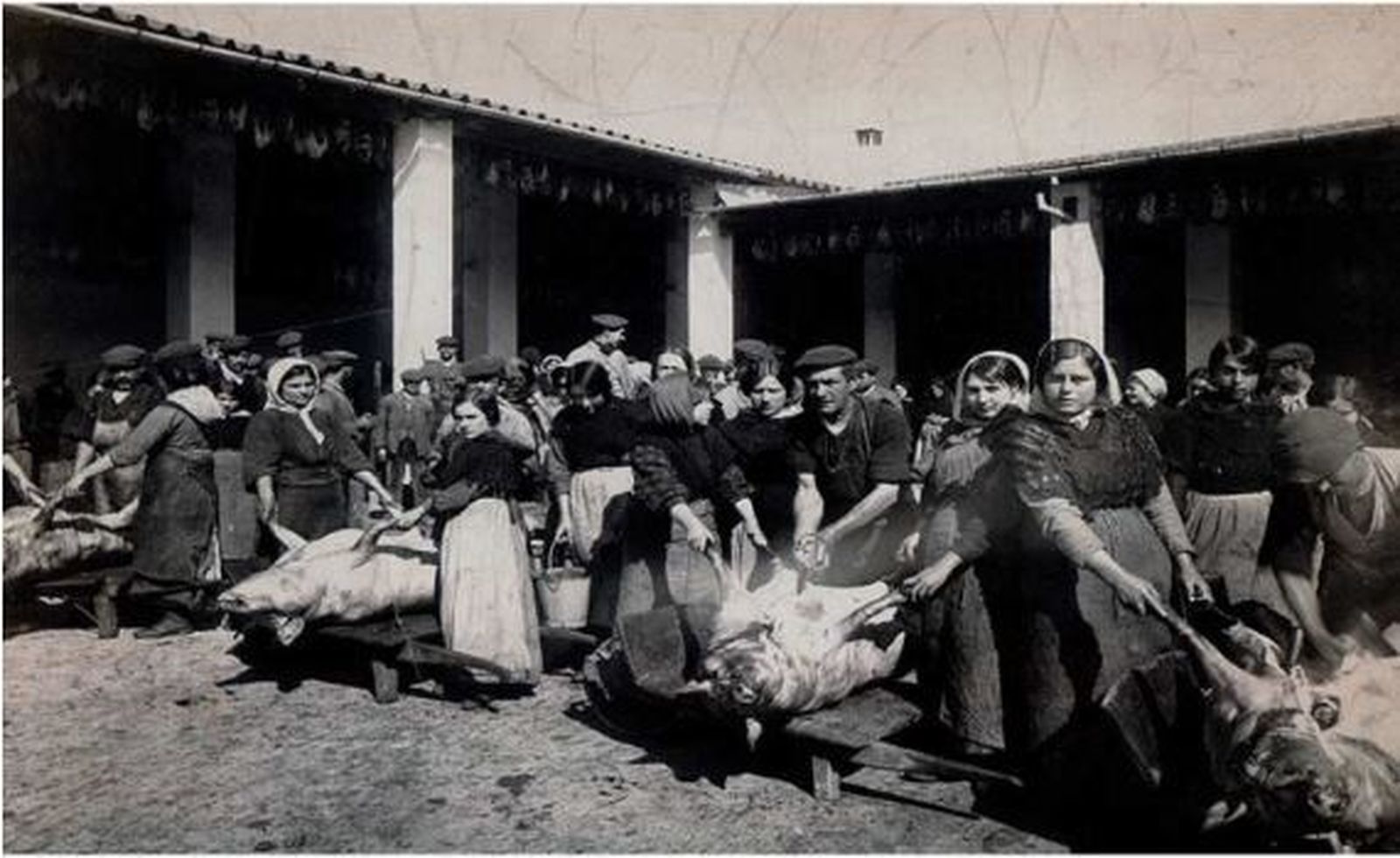 Portada del libro sobre la historia de Jabugo