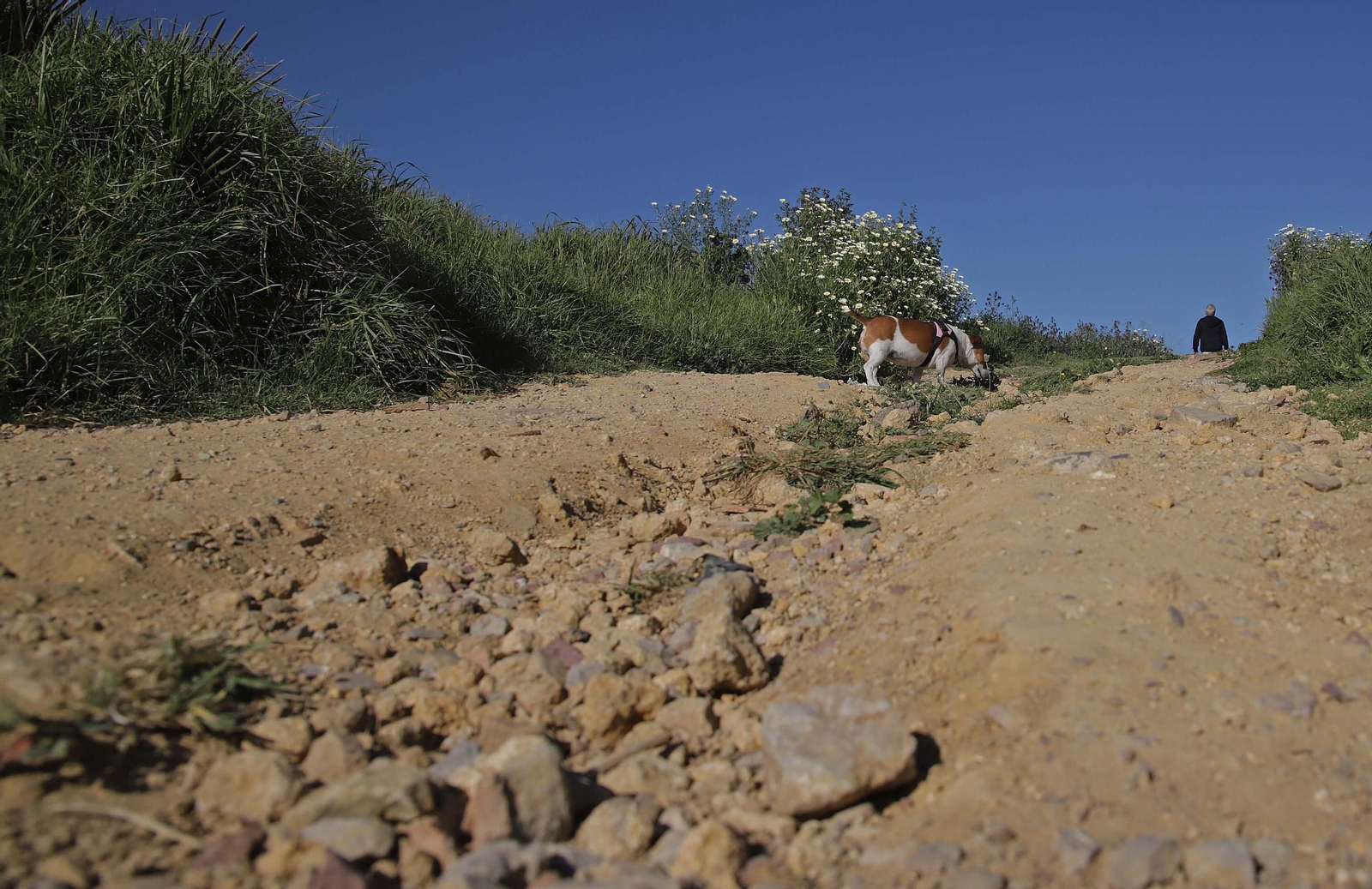 Fotos del estado de abandono del Parque del Centenario de Algeciras
