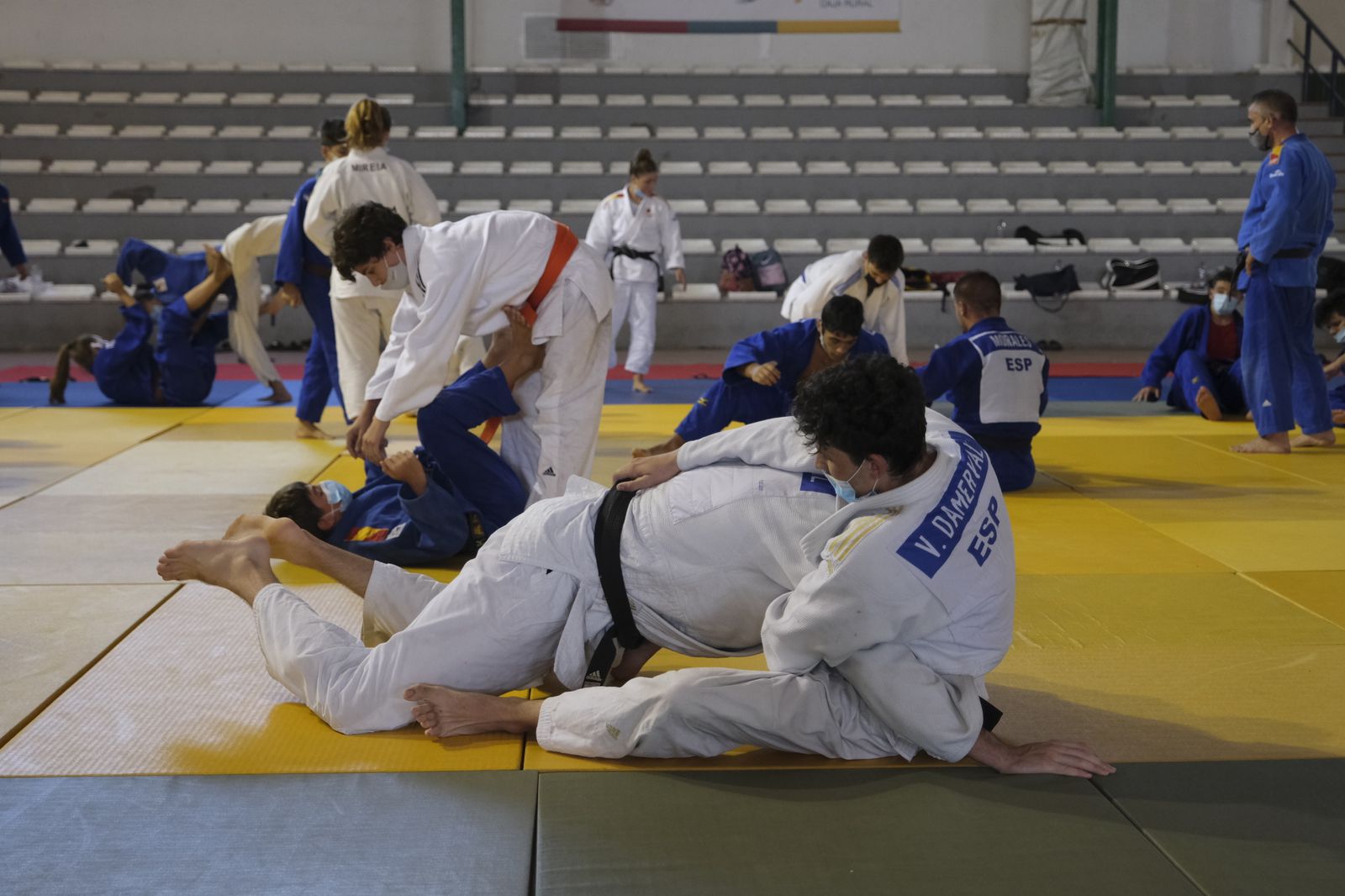 Fotogalería X Campus Internacional de Judo Ciudad de Almería