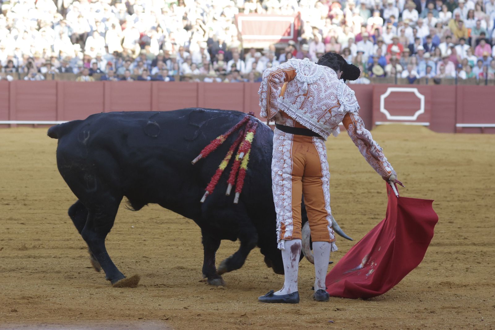 Las imágenes del festejo