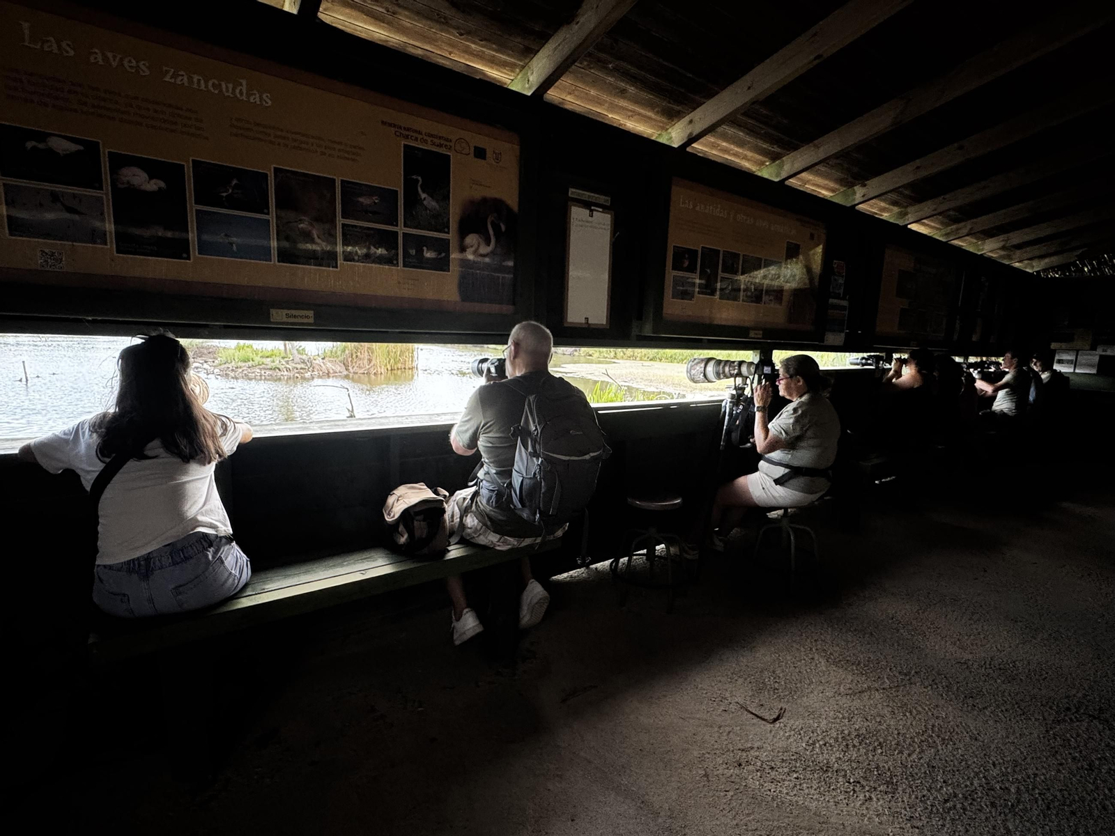 Varias personas observan y fotografían la fauna de la Charca de Suárez
