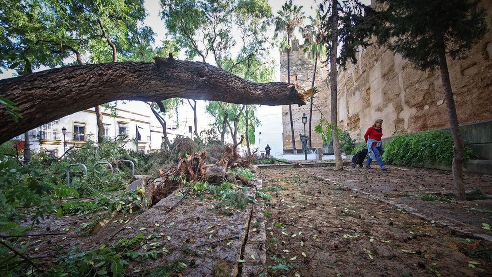 Calle Ancha, el día después del temporal.
