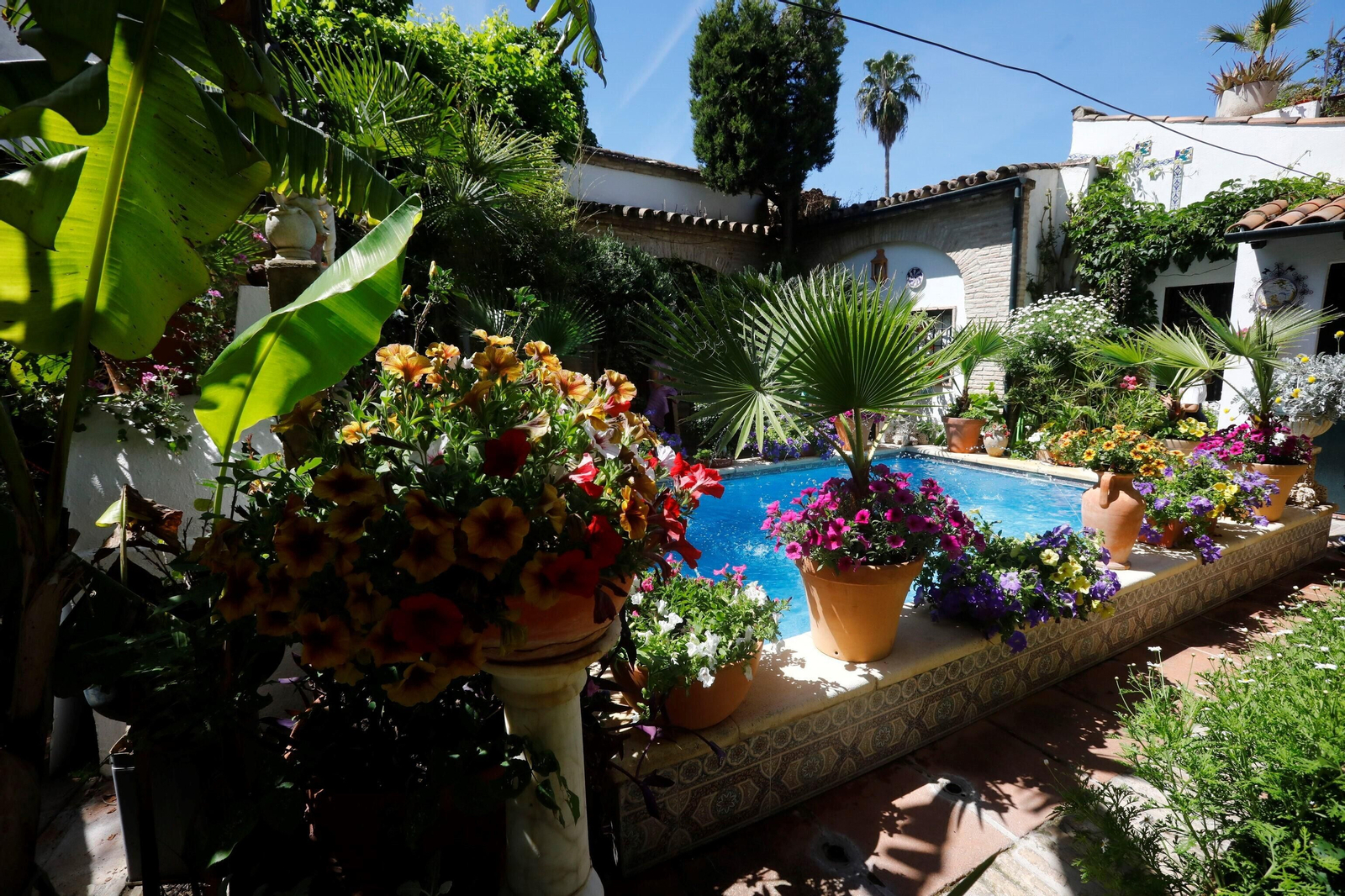 Los Patios de la Ruta de Santiago-San Pedro, en imágenes