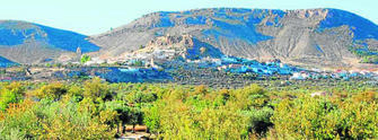 Vista panorámica del municipio de Oria con cus campos de almendros como parapeto.