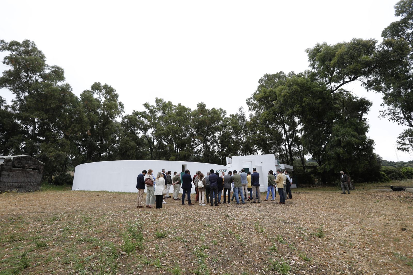 Las fotos del centro de carga de ganado vacuno en Los Barrios