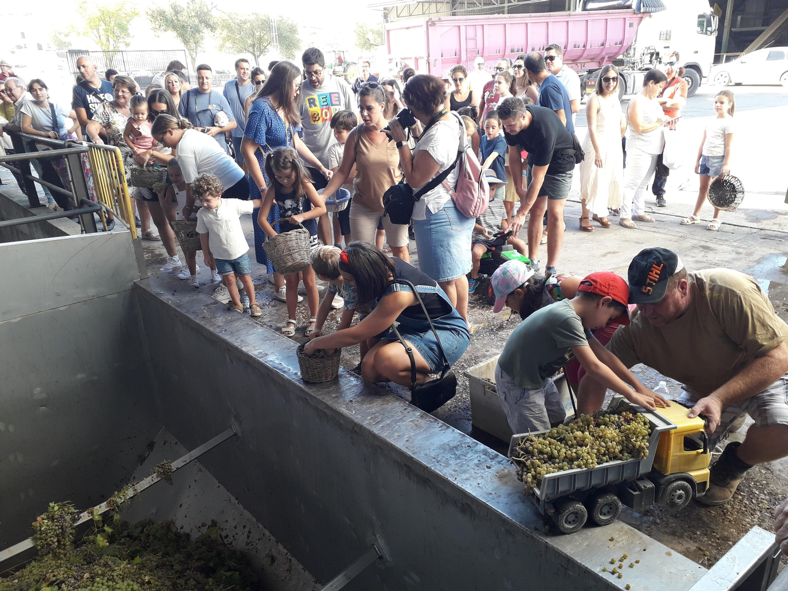 La primera vendimia infantil de Montilla, en imágenes