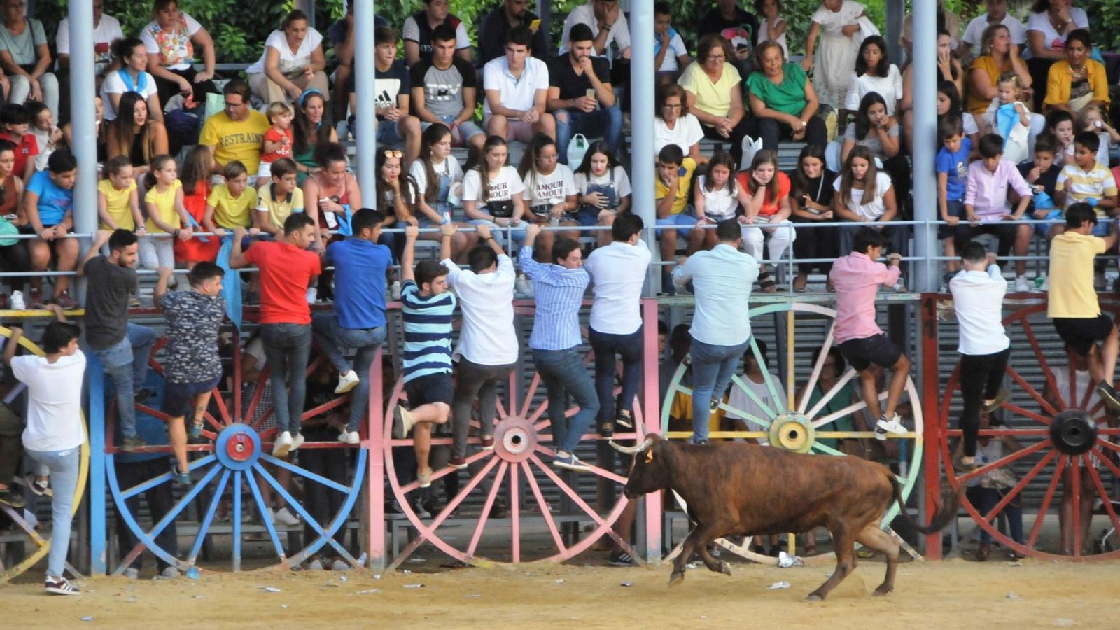 La participación del pueblo cobra definitivo sentido en las concurridas capeas.