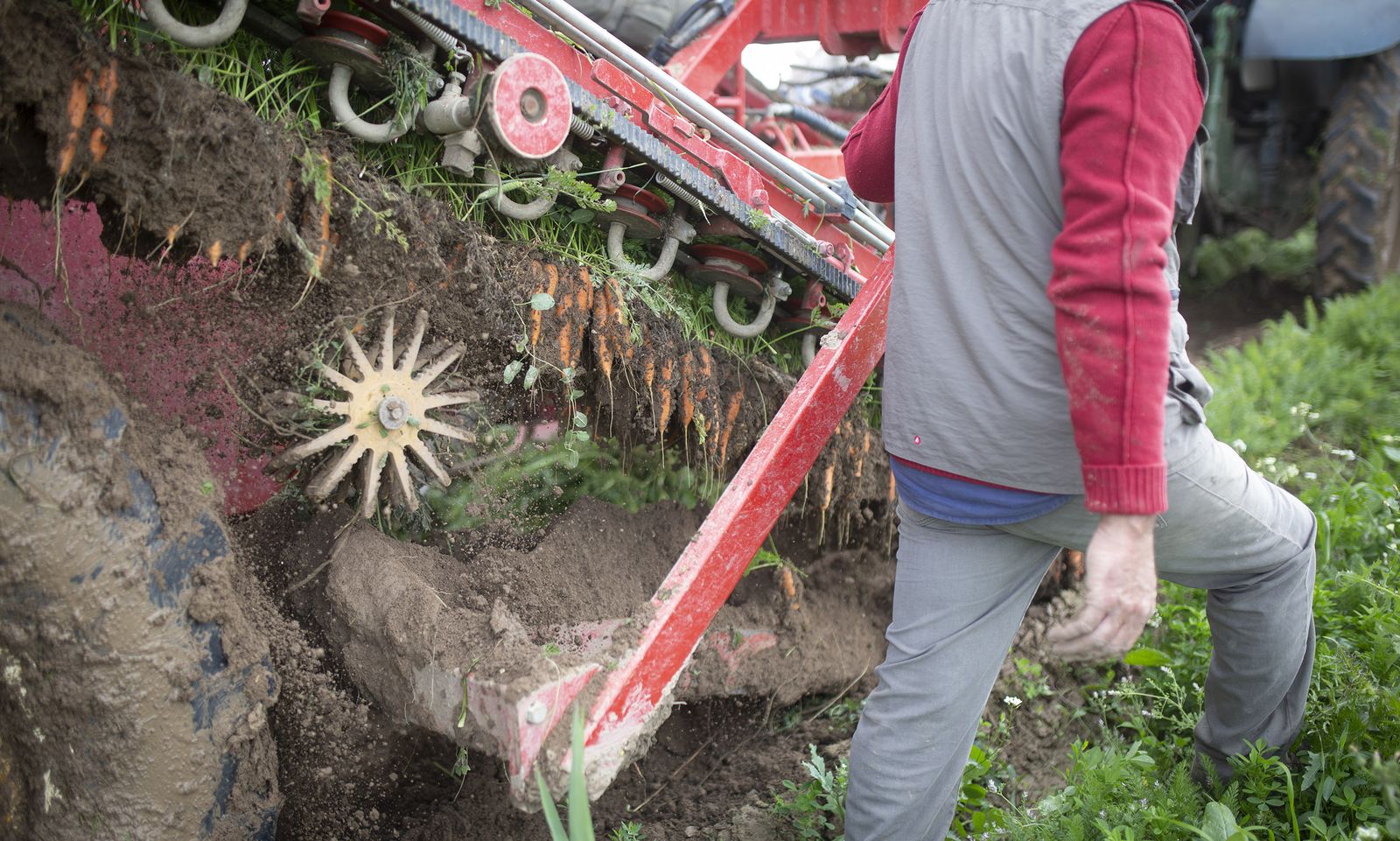Coronavirus: de la tierra a la mesa