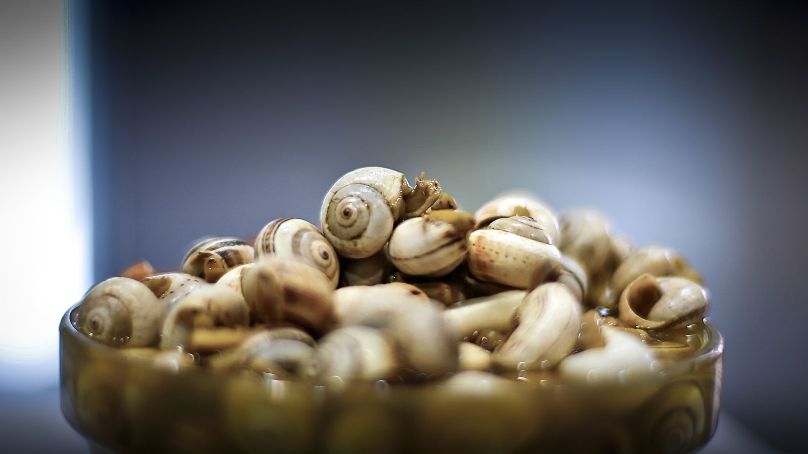 Una taza de caracoles.