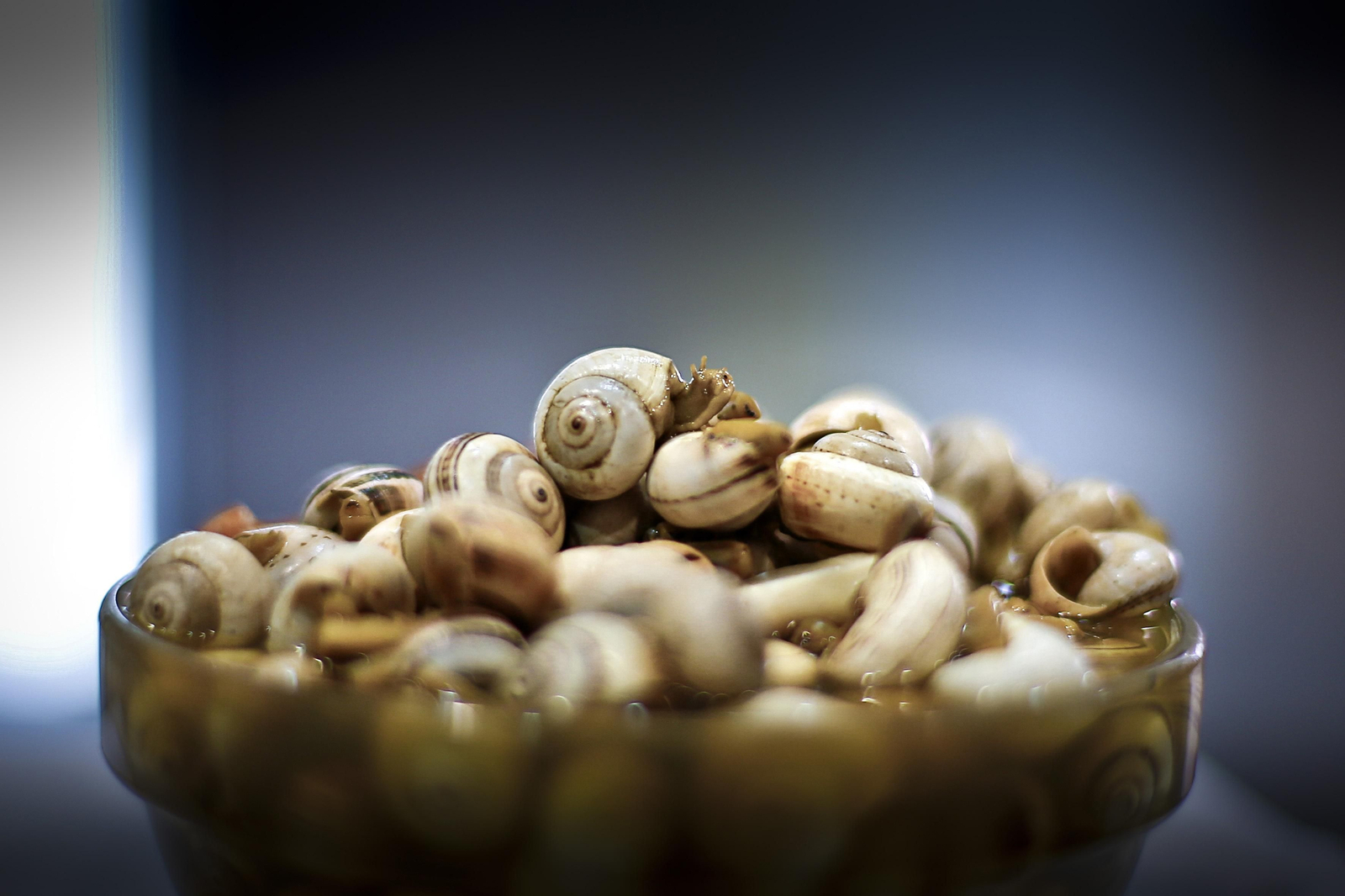 Una taza de caracoles.