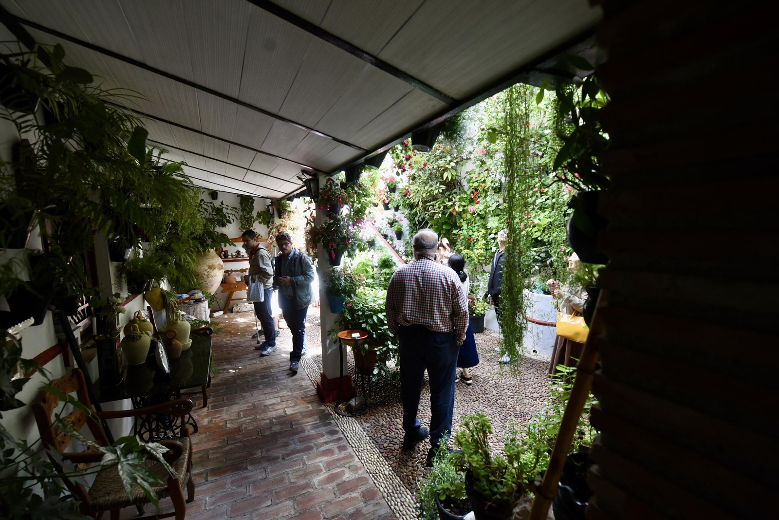 Los Patios de Córdoba de la Ruta del Alcázar Viejo, en imágenes