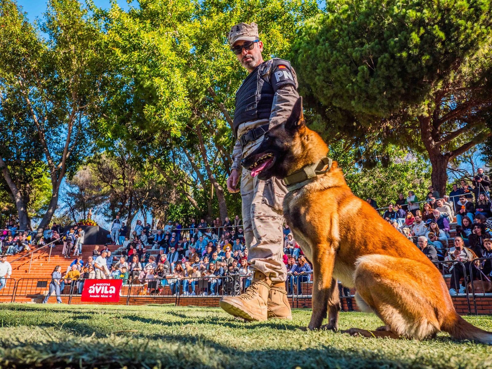 Las imágenes de San Antón 2025 en San Fernando