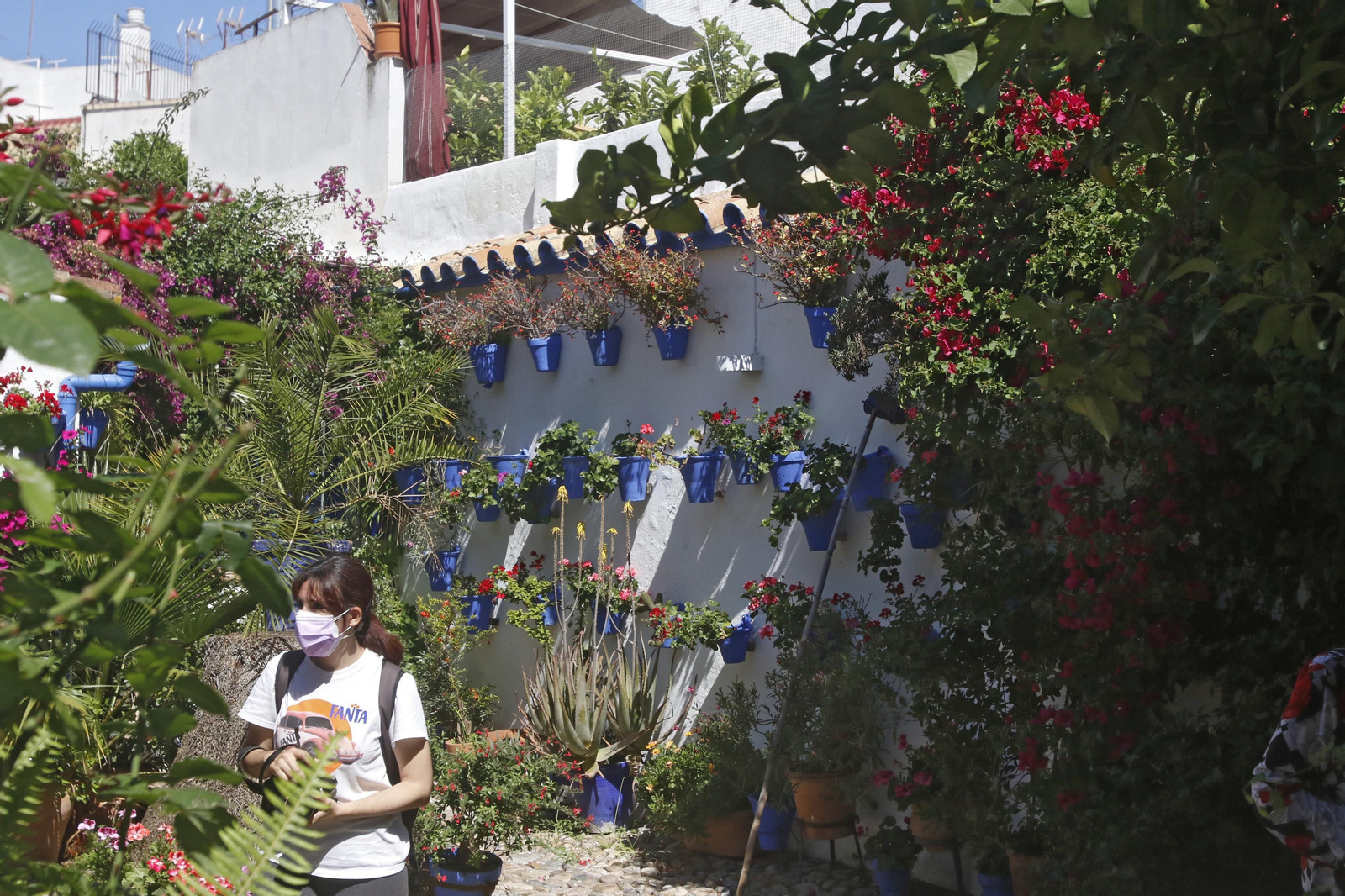 Ruta San Lorenzo de los Patios de Córdoba, en imágenes