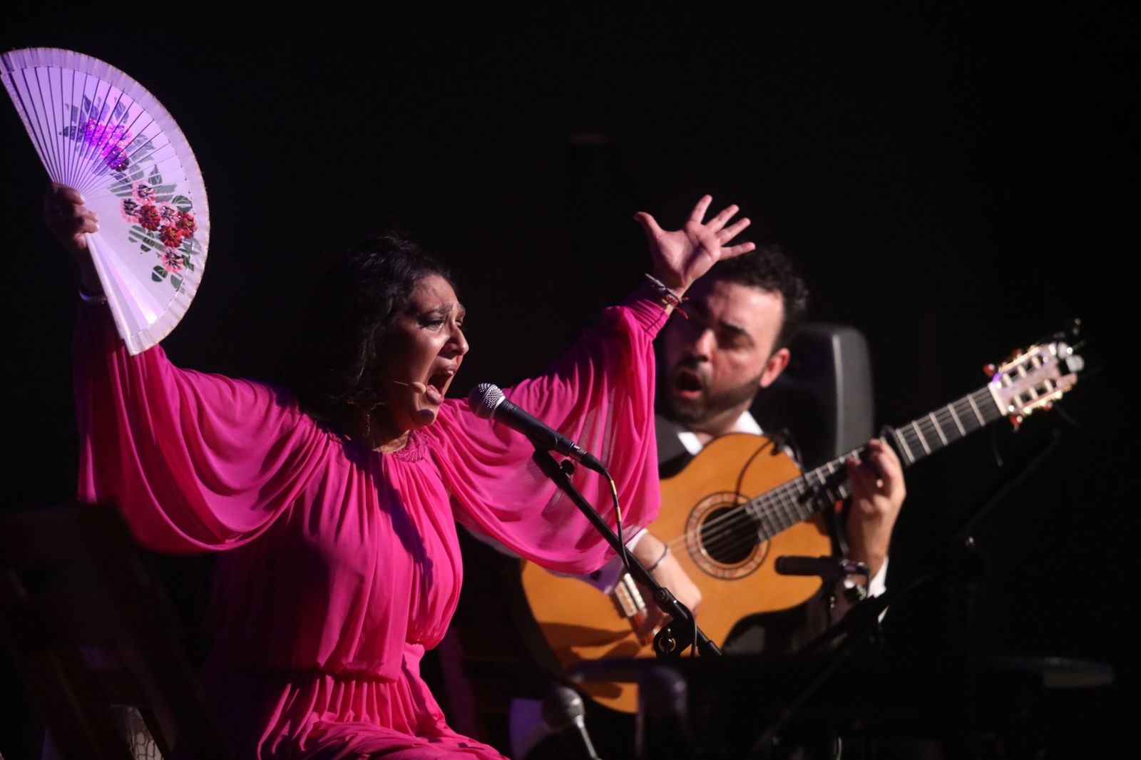 La noche flamenca en el Parque de San Fernando, en imágenes