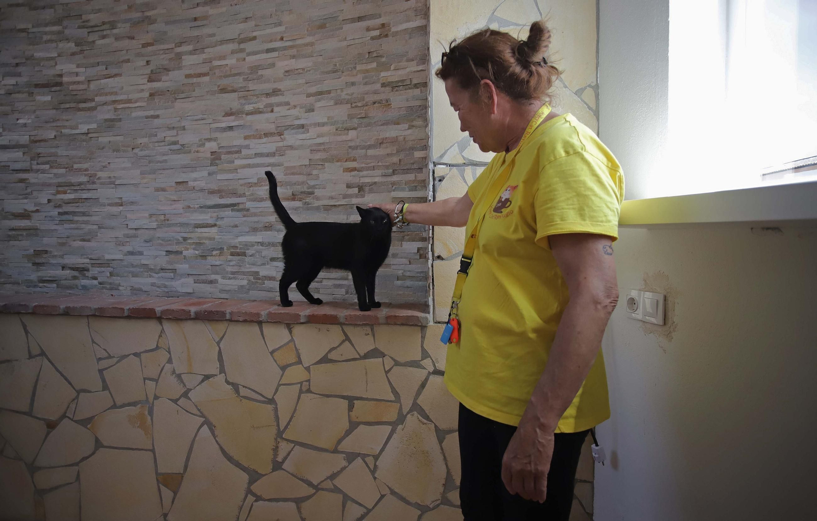 Fotos de Kitty Cat, la cafetería - refugio de gatos en La Línea