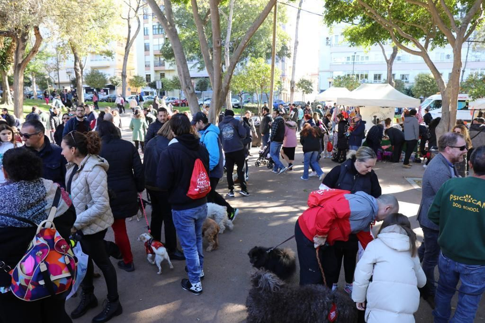 Así ha sido la celebración de San Antón en San Fernando