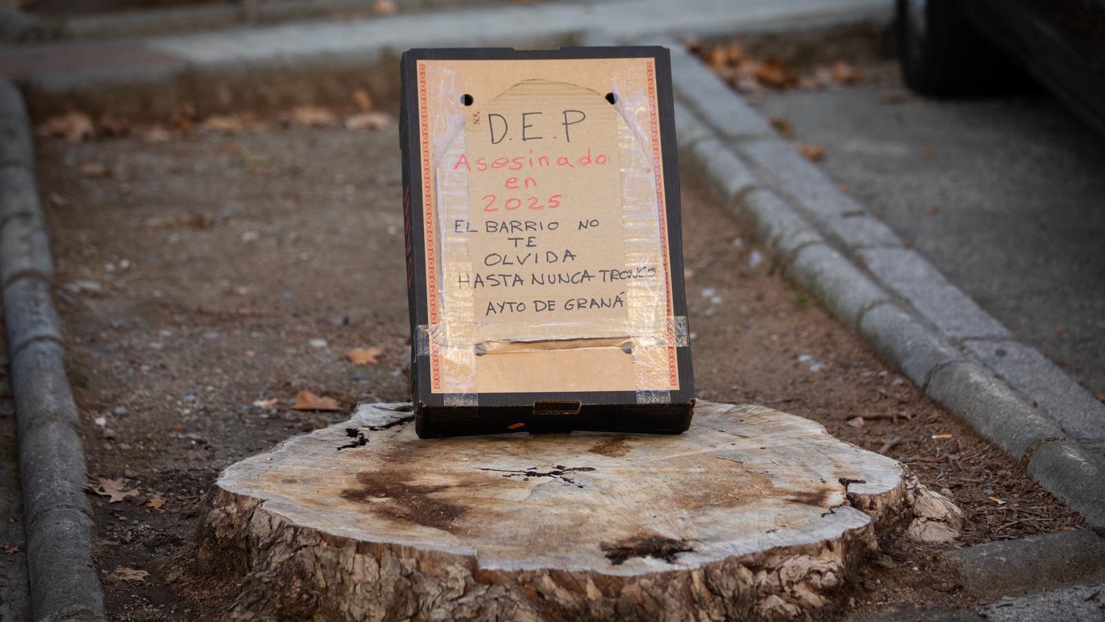 Los vecinos emprendieron una campaña en defensa de los árboles.