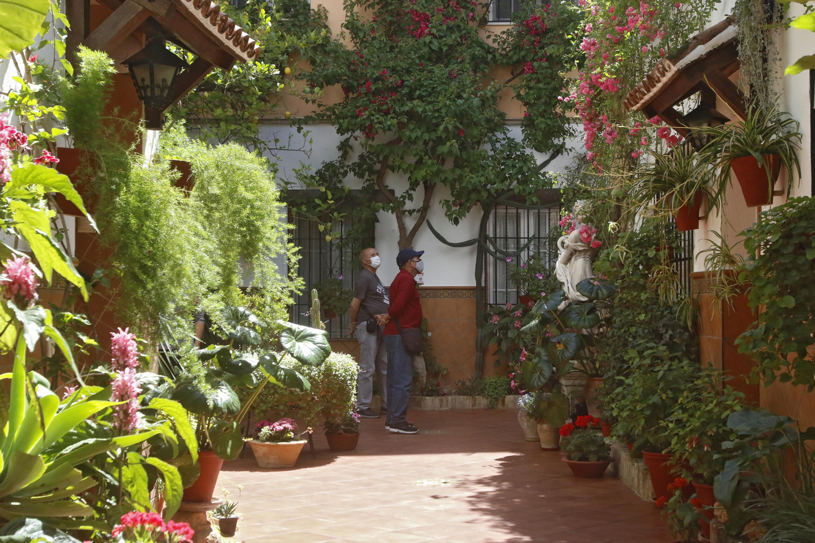 Ruta Santiago - San Pedro de los Patios de Córdoba, en imágenes