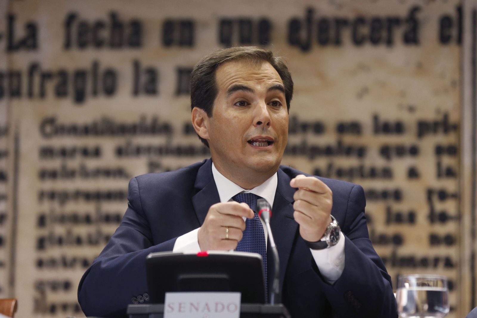 José Antonio Nieto, en la comisión de interior del Senado.