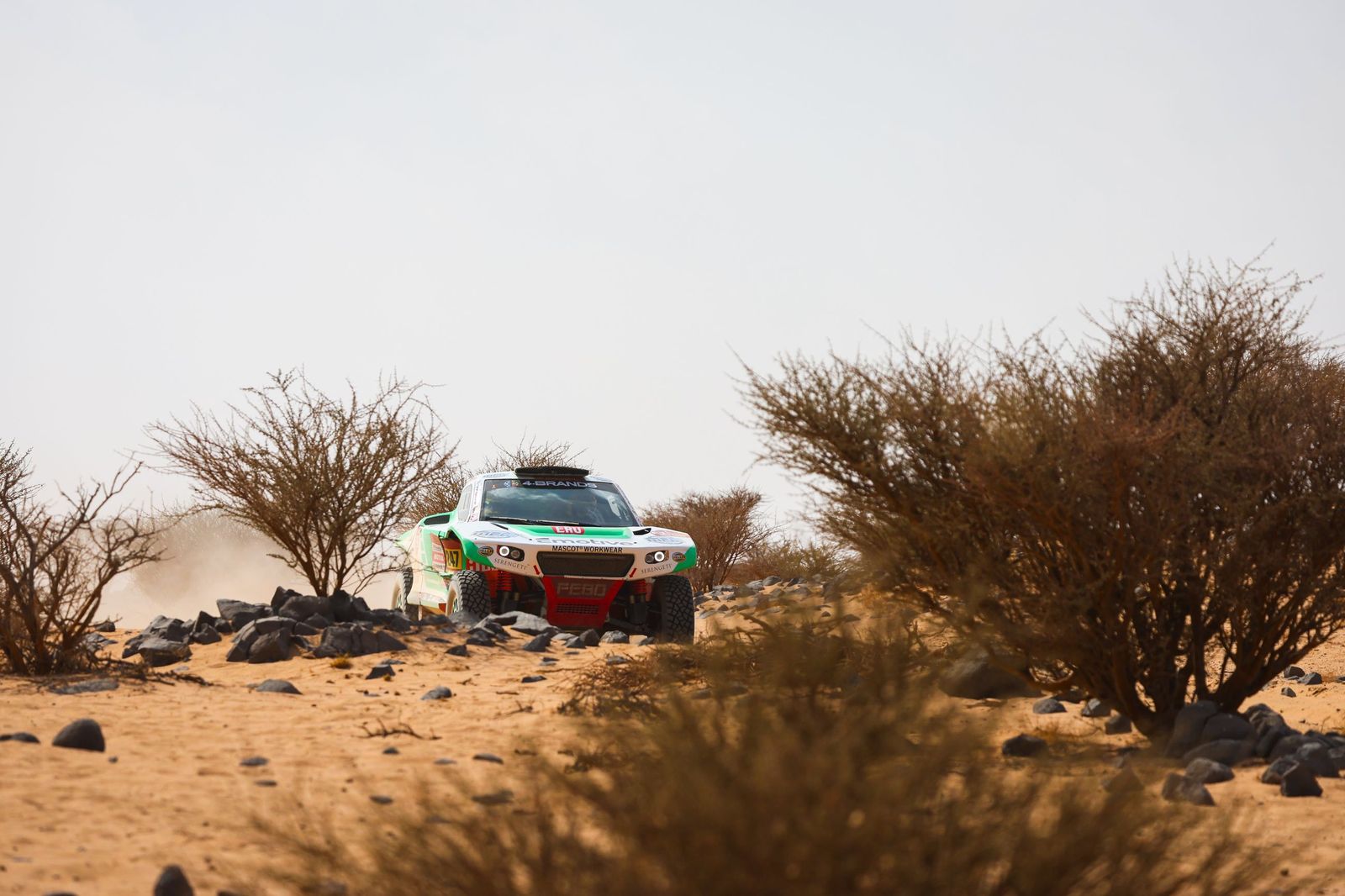Las mejores fotos del Rally Dakar | undécima etapa