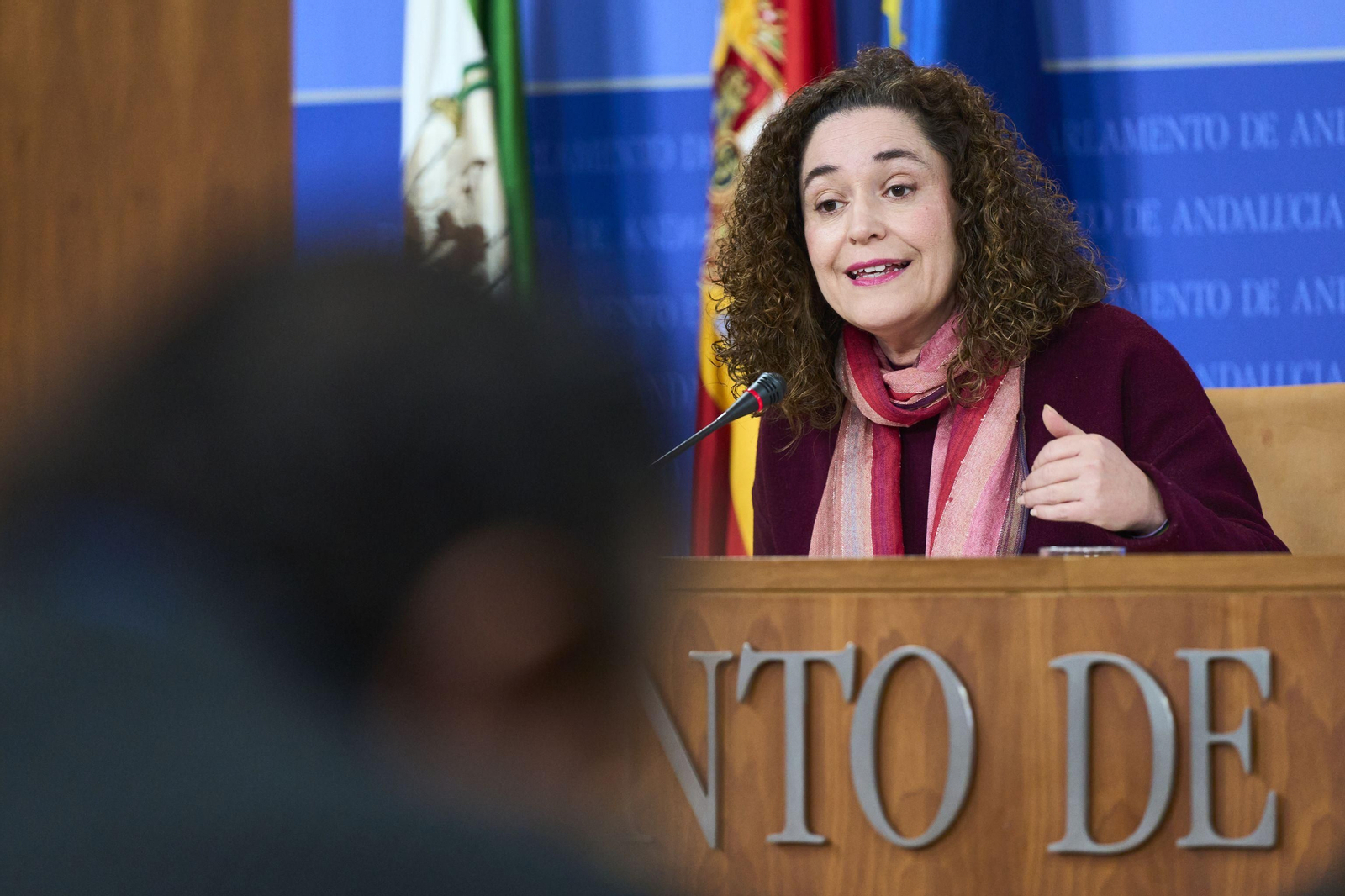 La portavoz de Por Andalucía ha anunciado un recurso al Constitucional del decreto de simplificación.