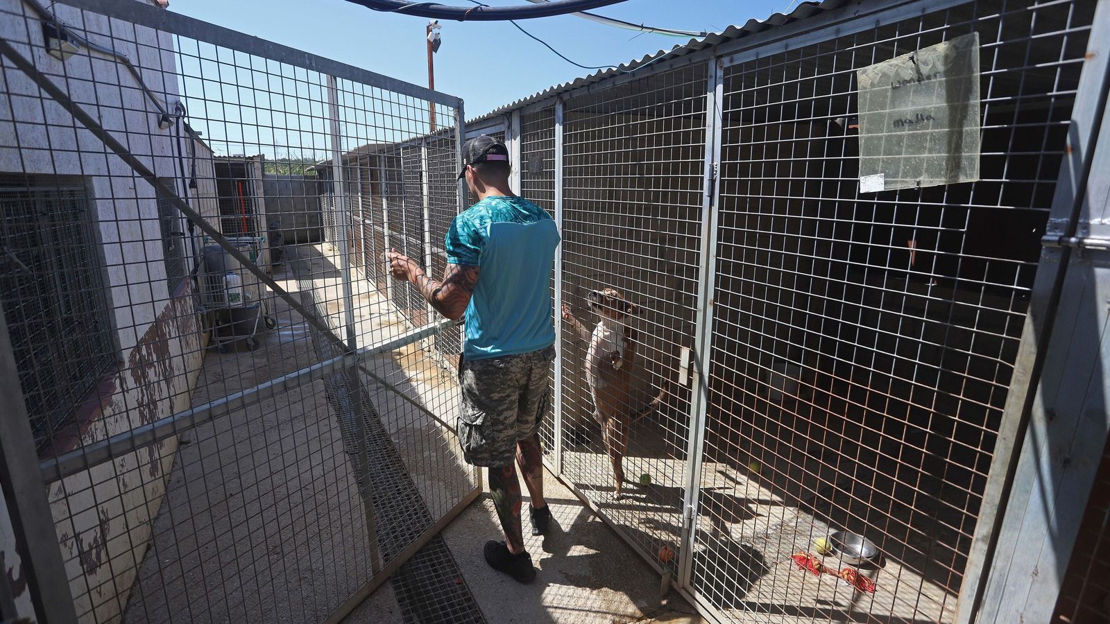 SOS Perrera Los Barrios