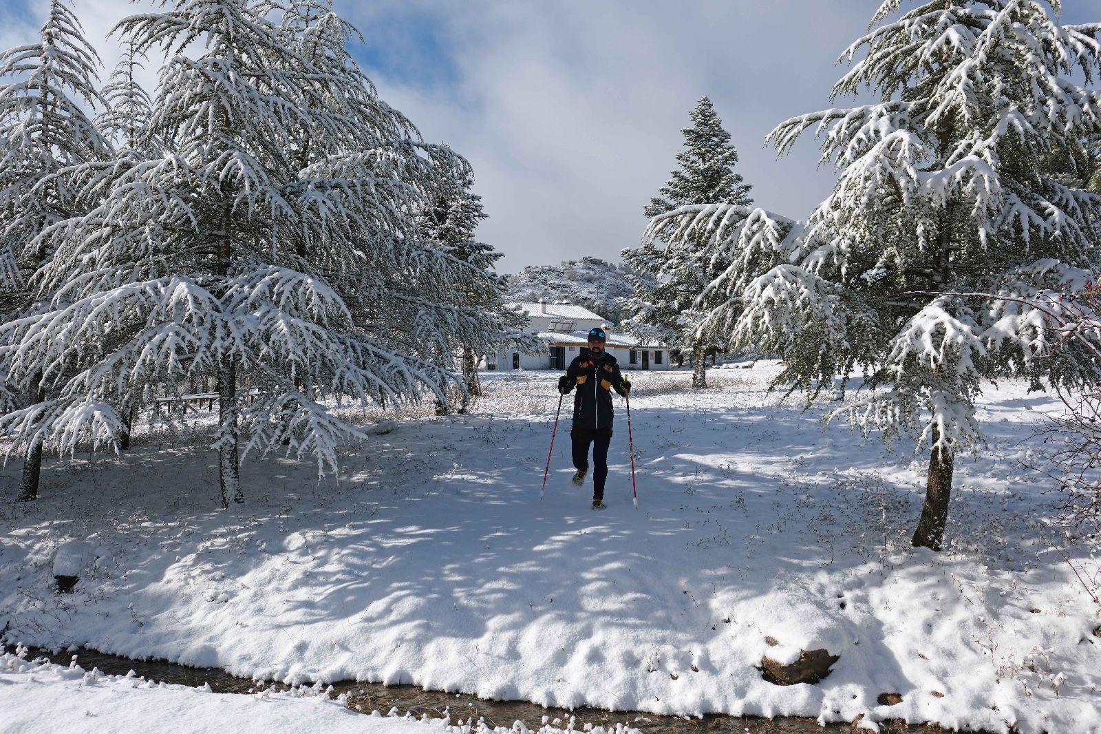 La nieve tiñe de blanco la Serranía de Ronda