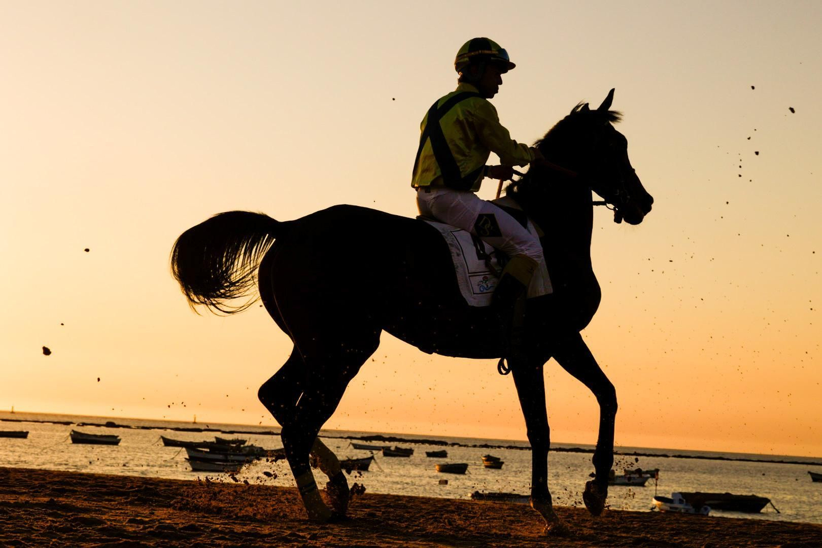 Imagen de la segunda jornada del ciclo final de las Carreras de Caballos de Sanlúcar 2025